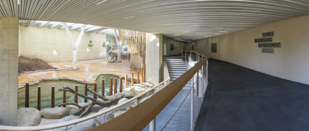 Neue Elefantenanlage «Tembea» eingeweiht
